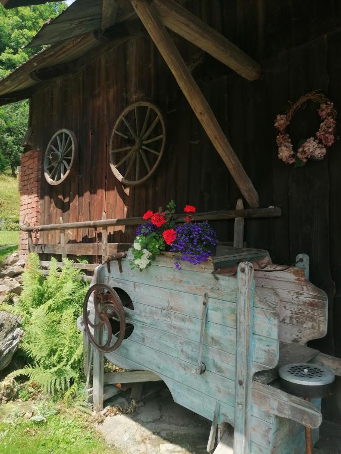 Chalupa Dana Vichova nad Jizerou Exterior foto